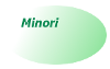 Area Minori